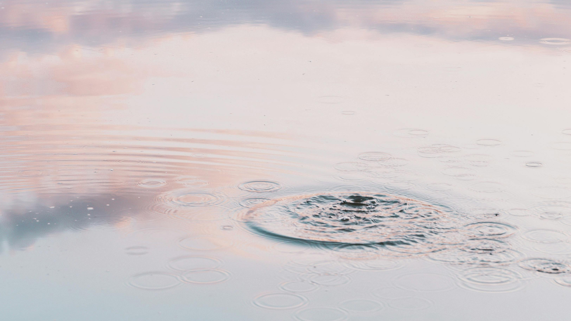 Qué Bonito el Silencio: La Belleza de la Mente en Calma en un Mundo Ruidoso